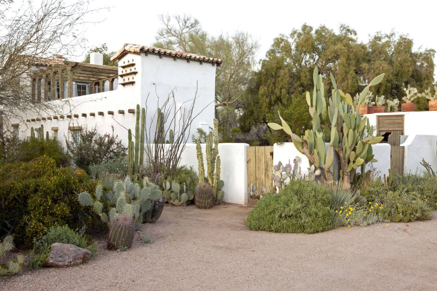 21 Small Desert Garden Courtyards Ideas You Must Look SharonSable