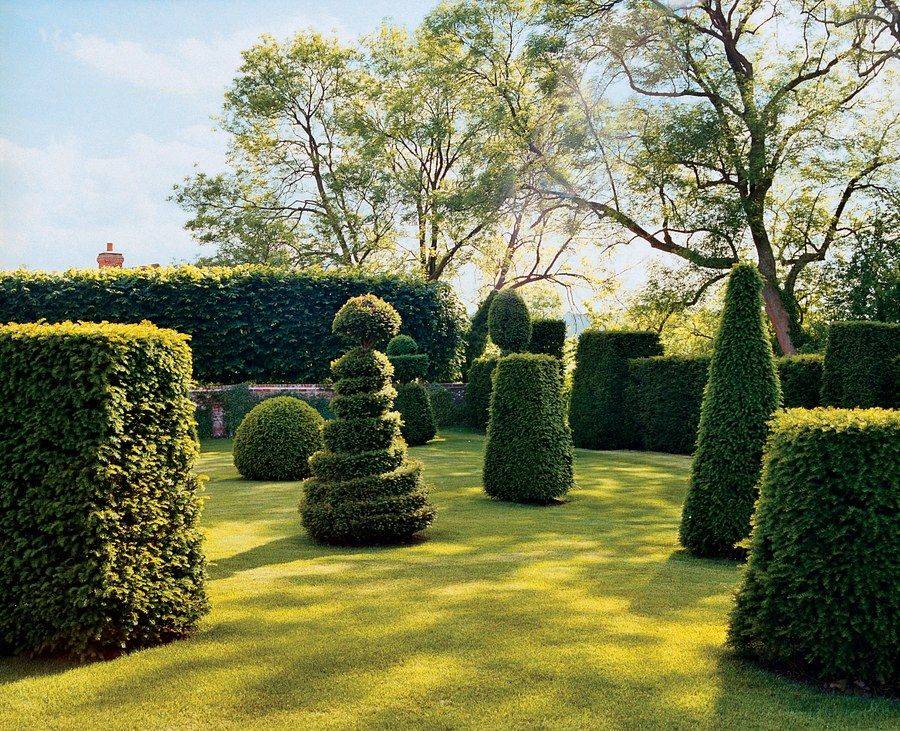 24 Topiary Flower Garden Ideas You Must Look | SharonSable