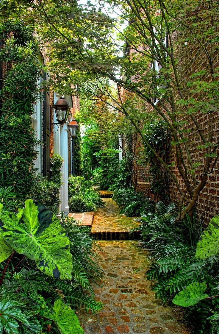 20 Savannah Courtyard Garden Ideas You Must Look | SharonSable