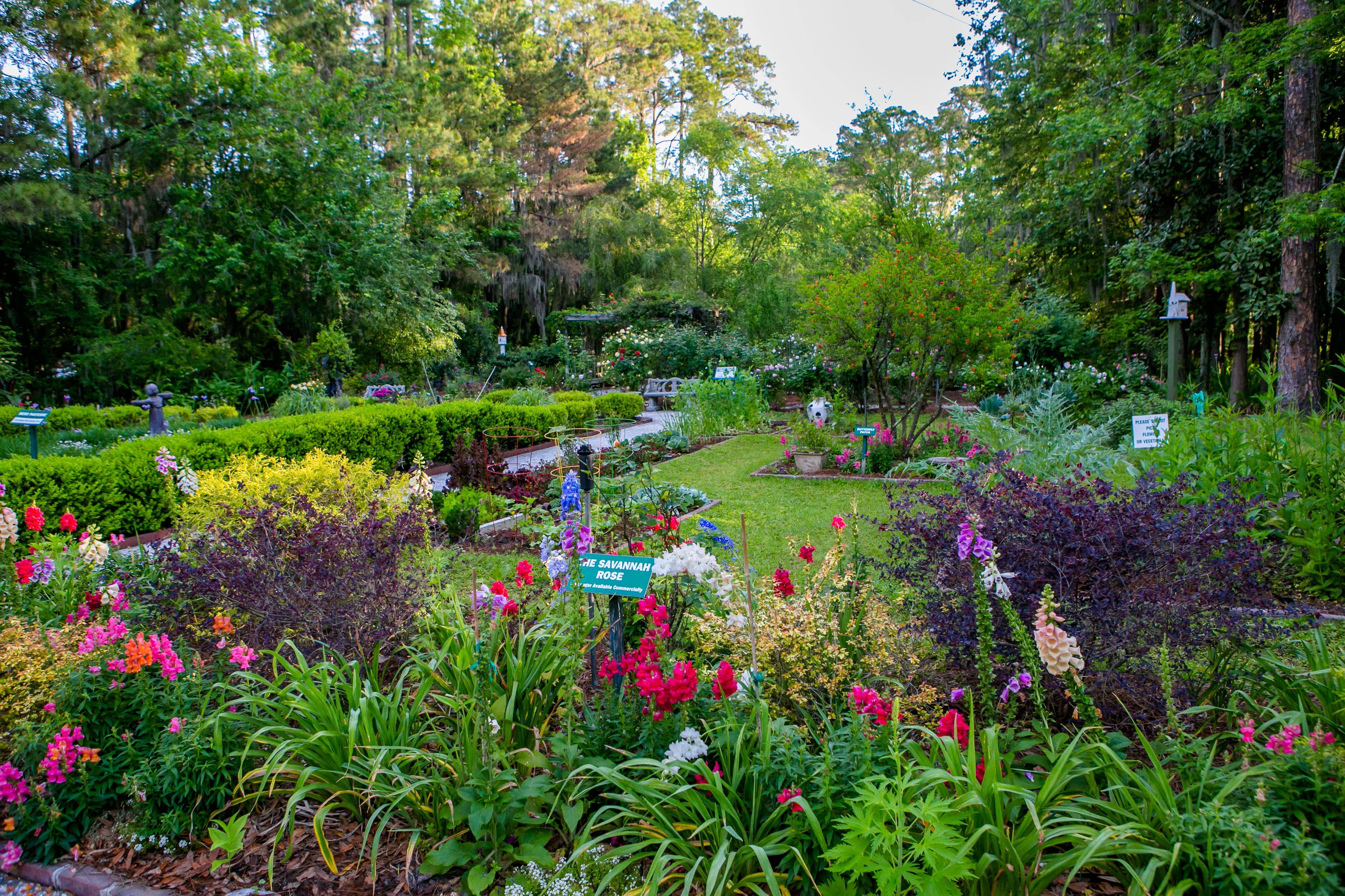 20 Historic Savannah GA Garden Ideas Worth a Look SharonSable