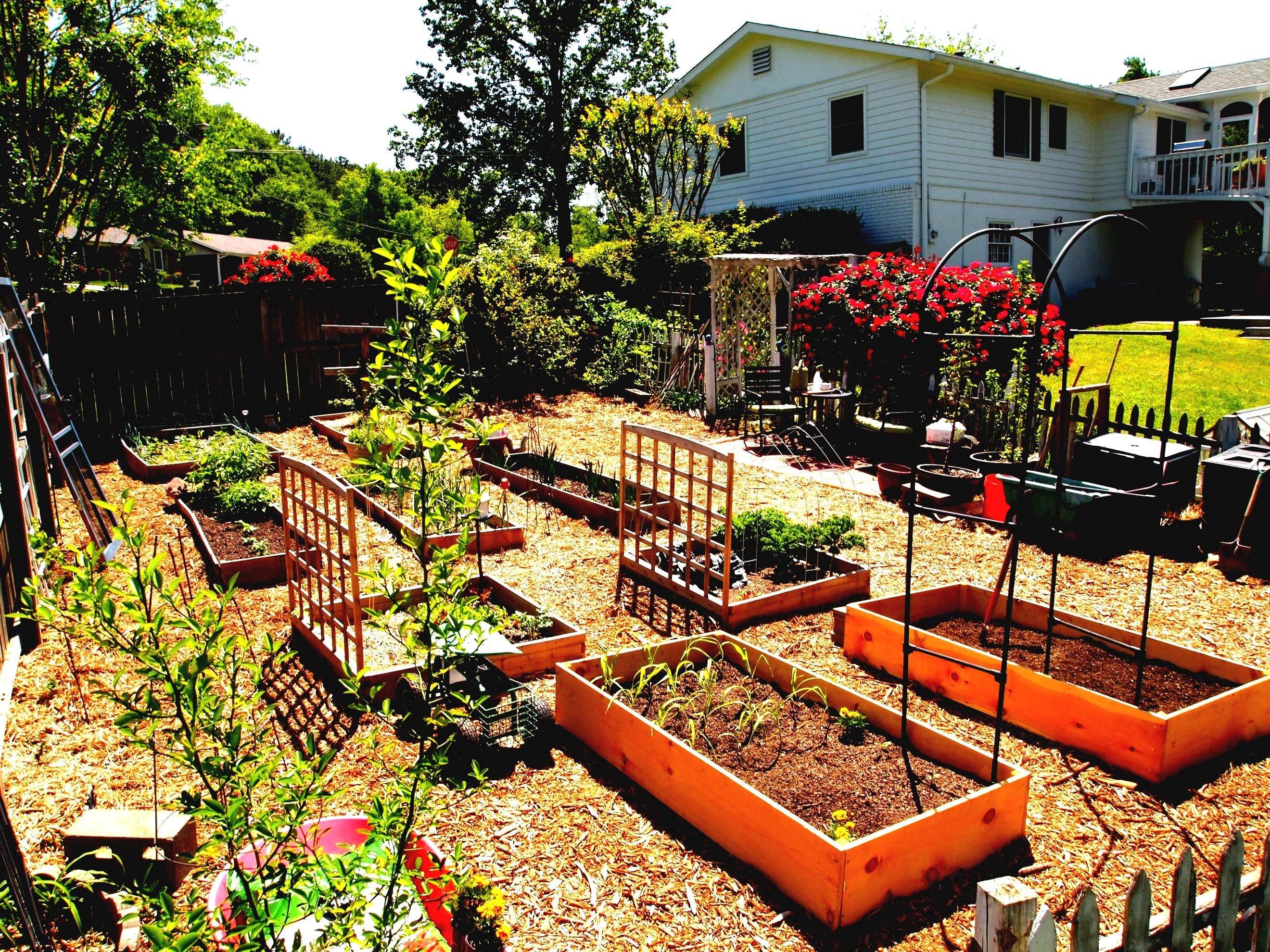 23 container vegetable garden layout ideas for this year sharonsable 