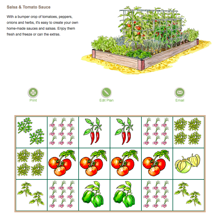 19 Salsa Garden Layout Ideas You Must Look Sharonsable