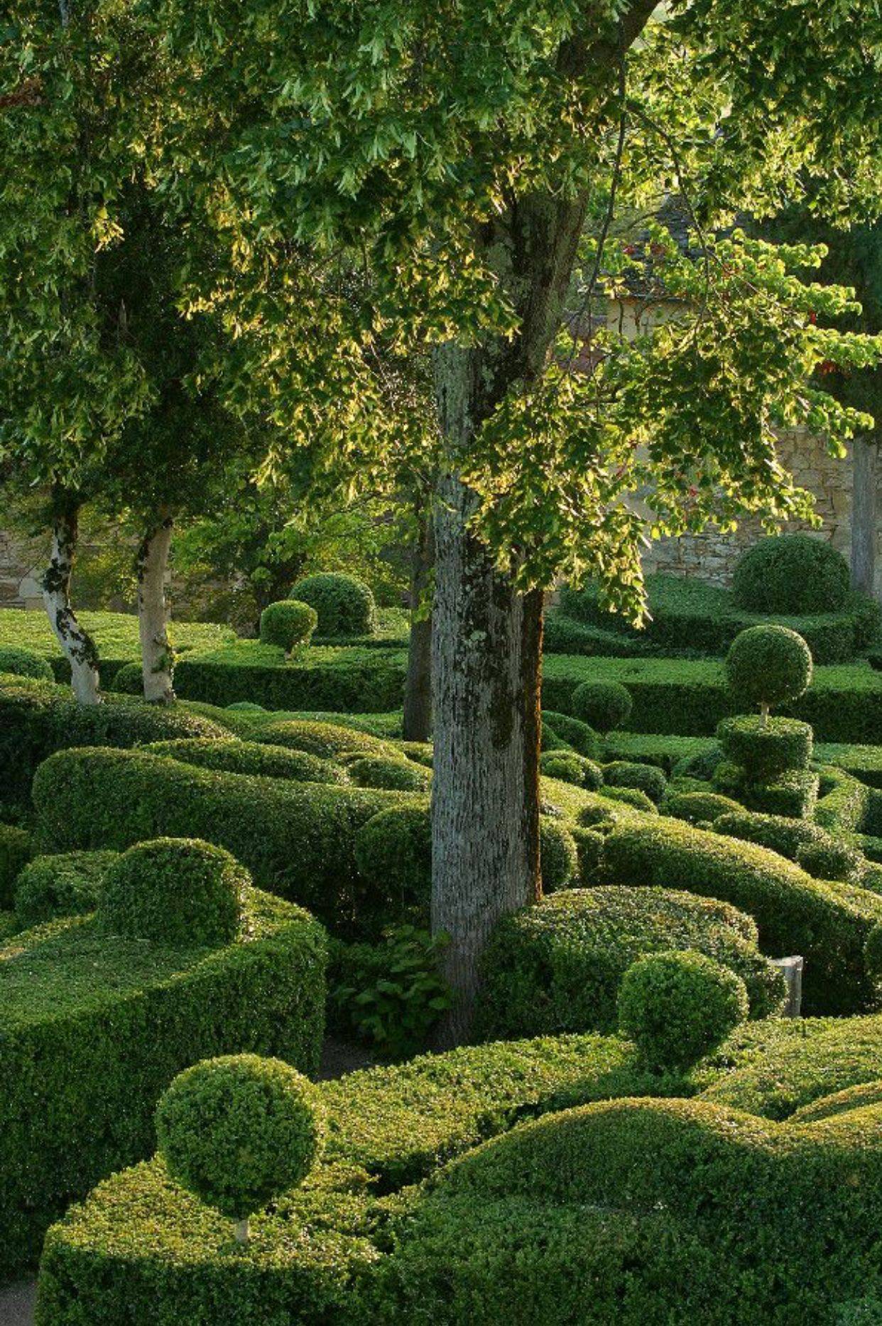 23 Amazing Topiary Garden Ideas To Try This Year | SharonSable