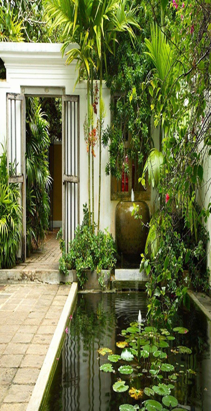 20-sri-lankan-garden-ideas-to-try-this-year-sharonsable