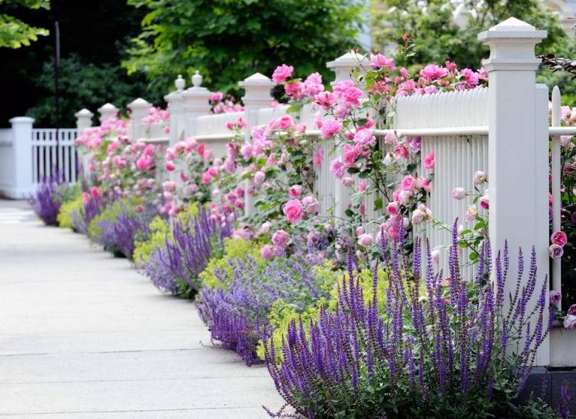 21-garden-borders-ideas-uk-you-gonna-love-sharonsable