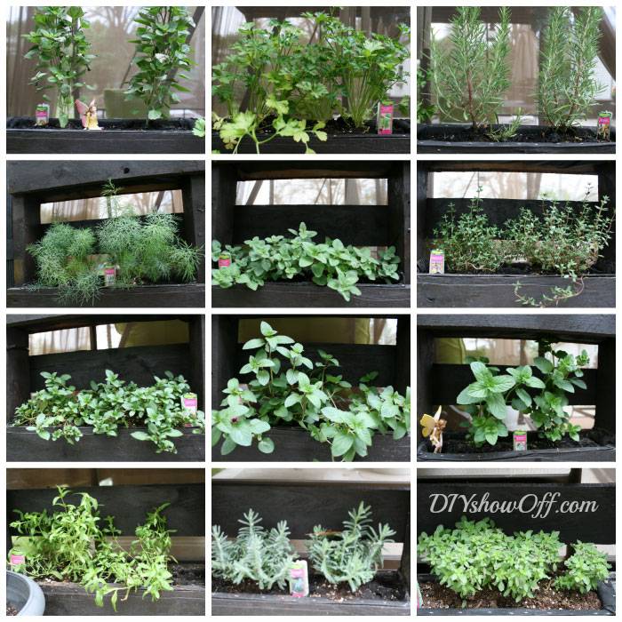 Your Own Freestanding Pallet Herb Garden