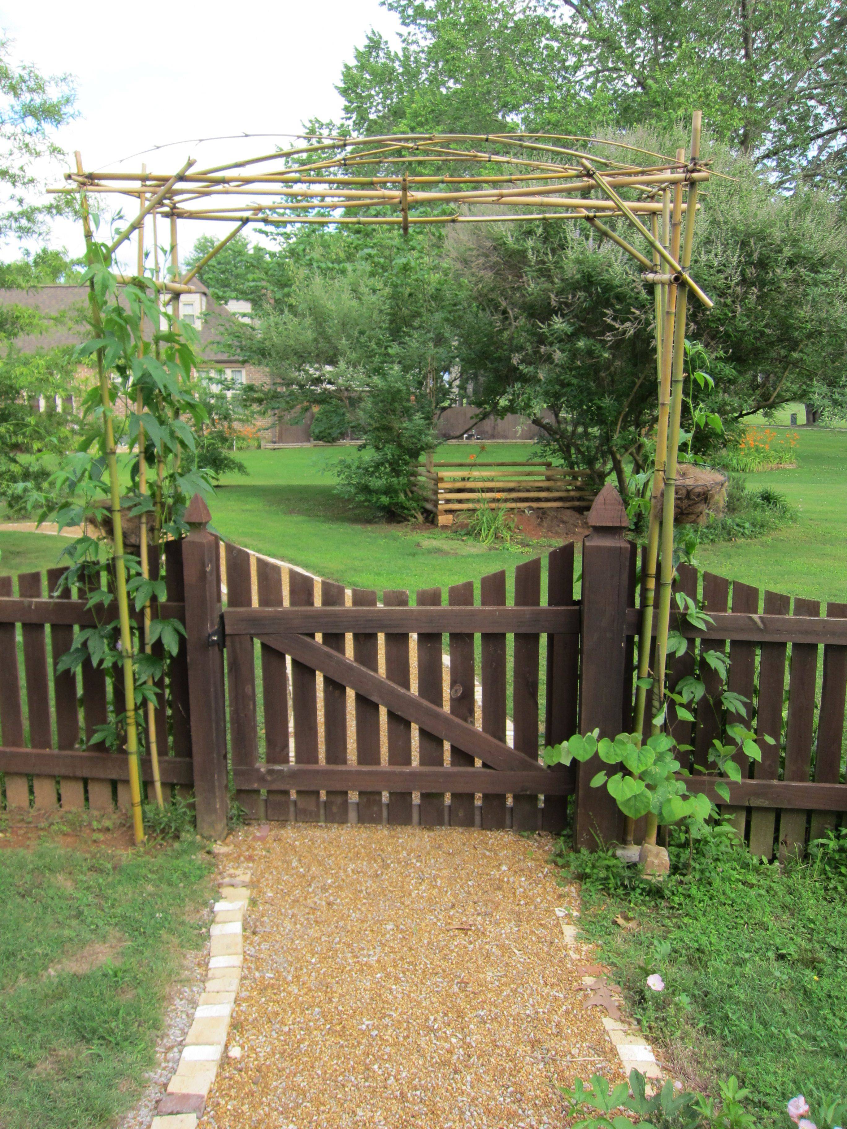 24 Bamboo Garden Trellis Ideas You Must Look SharonSable