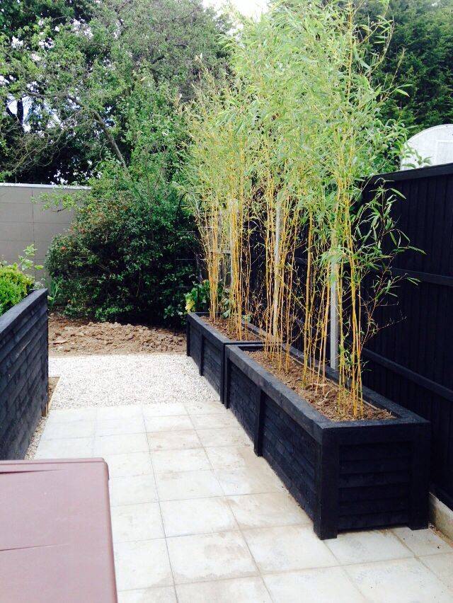 22 Bamboo Garden Screen Ideas You Must Look | SharonSable