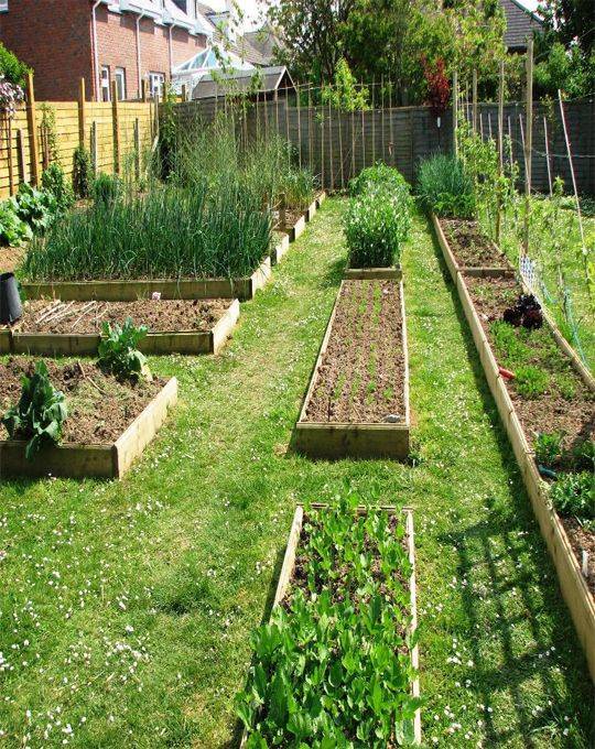 20 Homestead Vegetable Garden Layout Ideas You Should Check | SharonSable