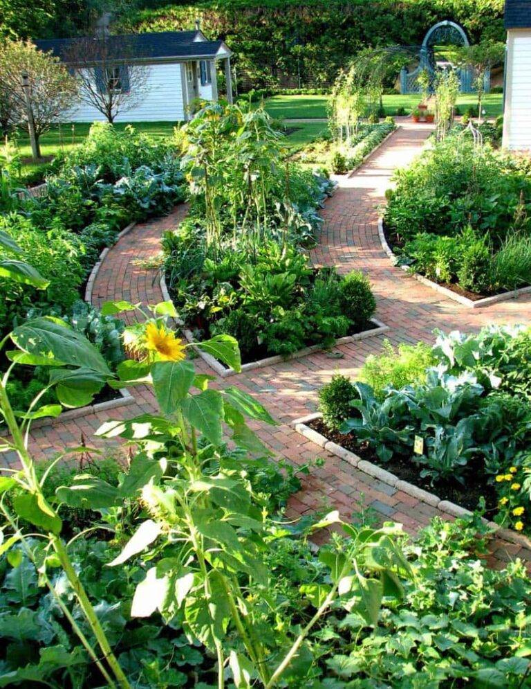 20 Homestead Vegetable Garden Layout Ideas You Should Check | SharonSable