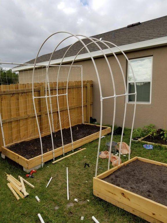 18 Garden Trellis with PVC Pipe Ideas To Consider | SharonSable