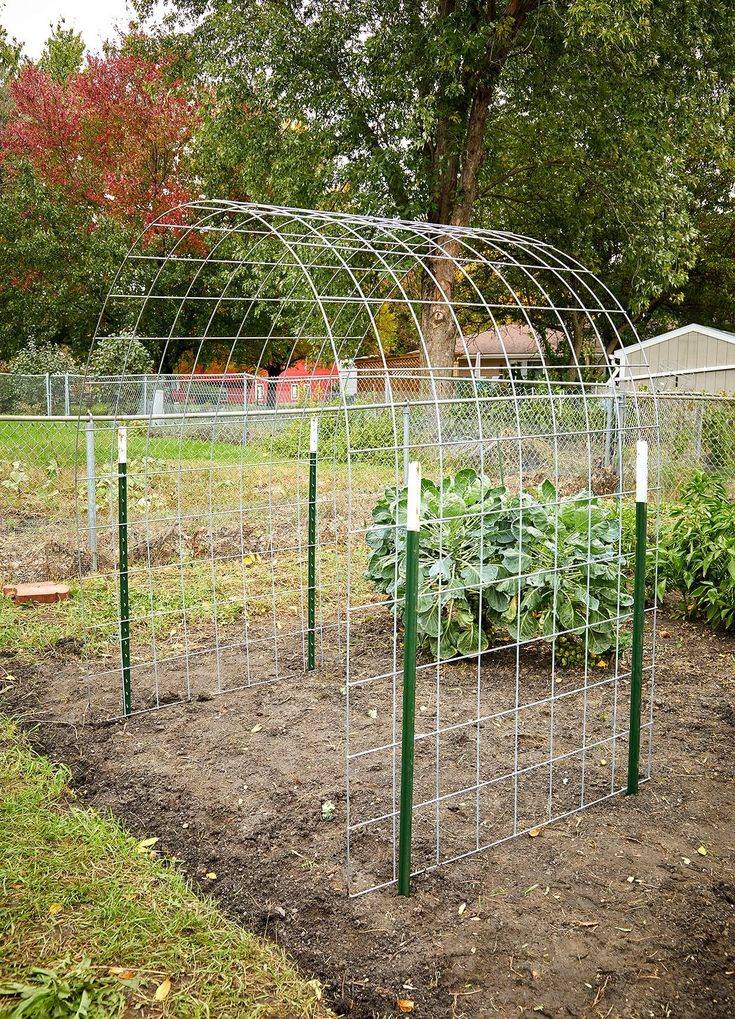 20 Cattle Panel Garden Arch Ideas You Should Check | SharonSable