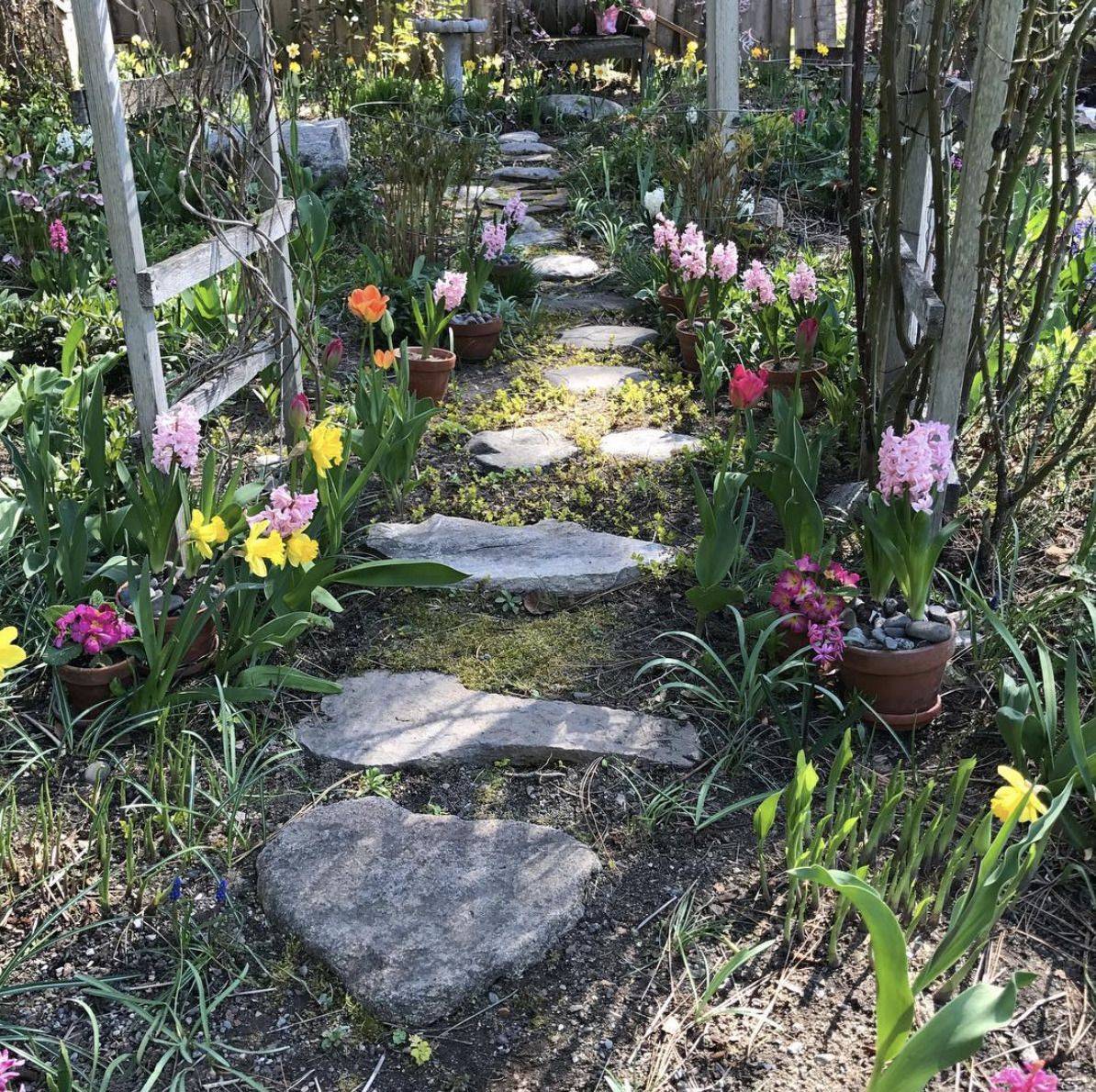 23 Aesthetic Garden Ideas Worth to Check | SharonSable