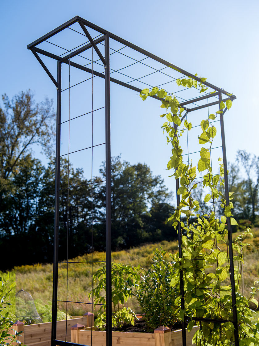 22 Tall Metal Garden Trellis Ideas You Cannot Miss | SharonSable