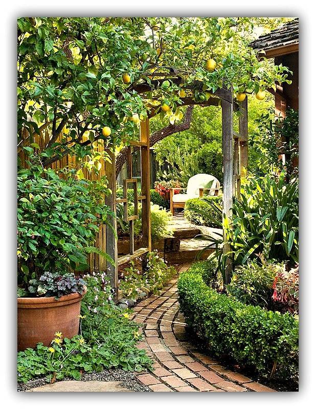 21 Garden Trellis Walkway Ideas To Try This Year | SharonSable