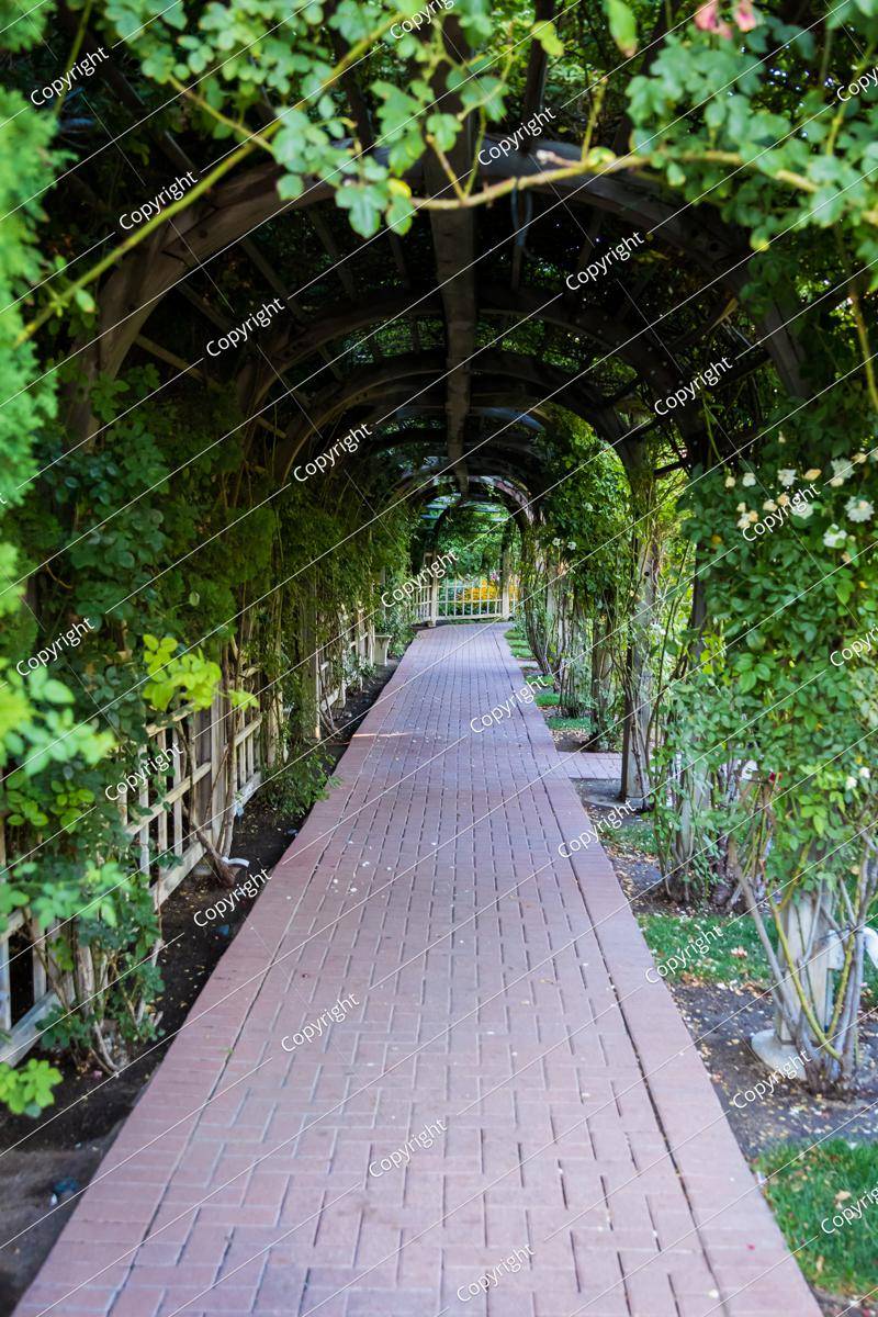 21 Garden Trellis Walkway Ideas To Try This Year | SharonSable