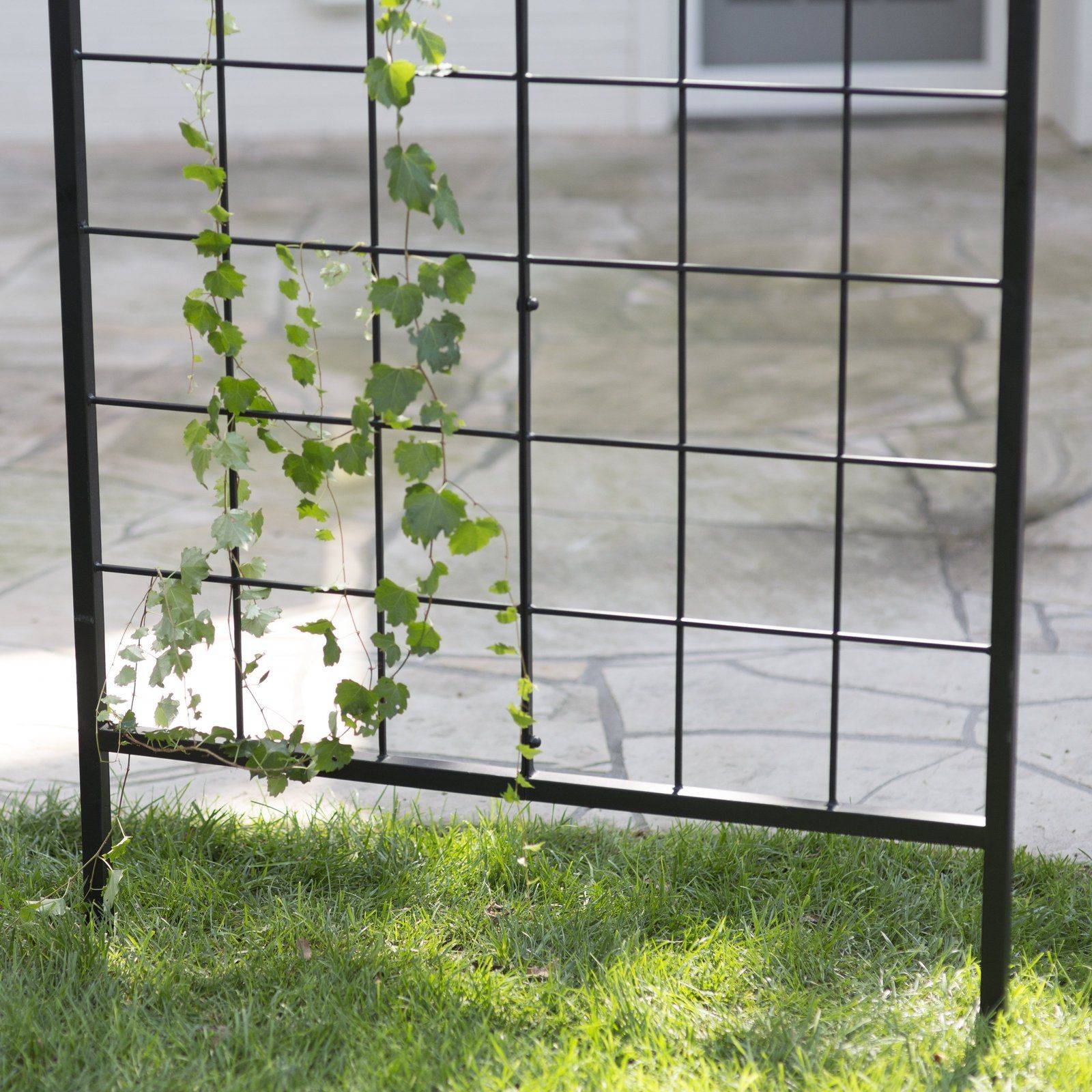 22 Black Metal Garden Trellis Ideas Worth to Check | SharonSable