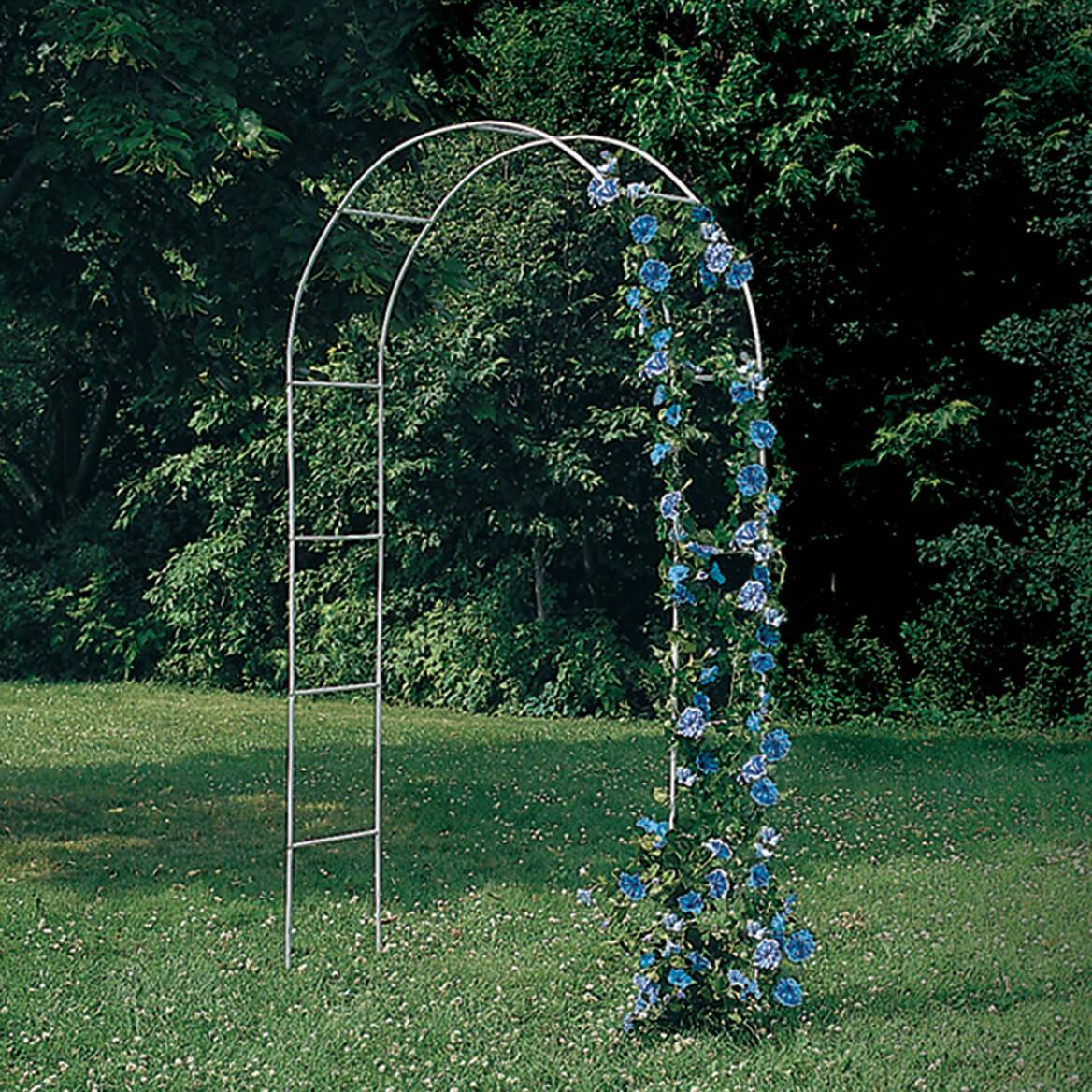 21 Arched Metal Garden Trellis Ideas Worth A Look Sharonsable 9789