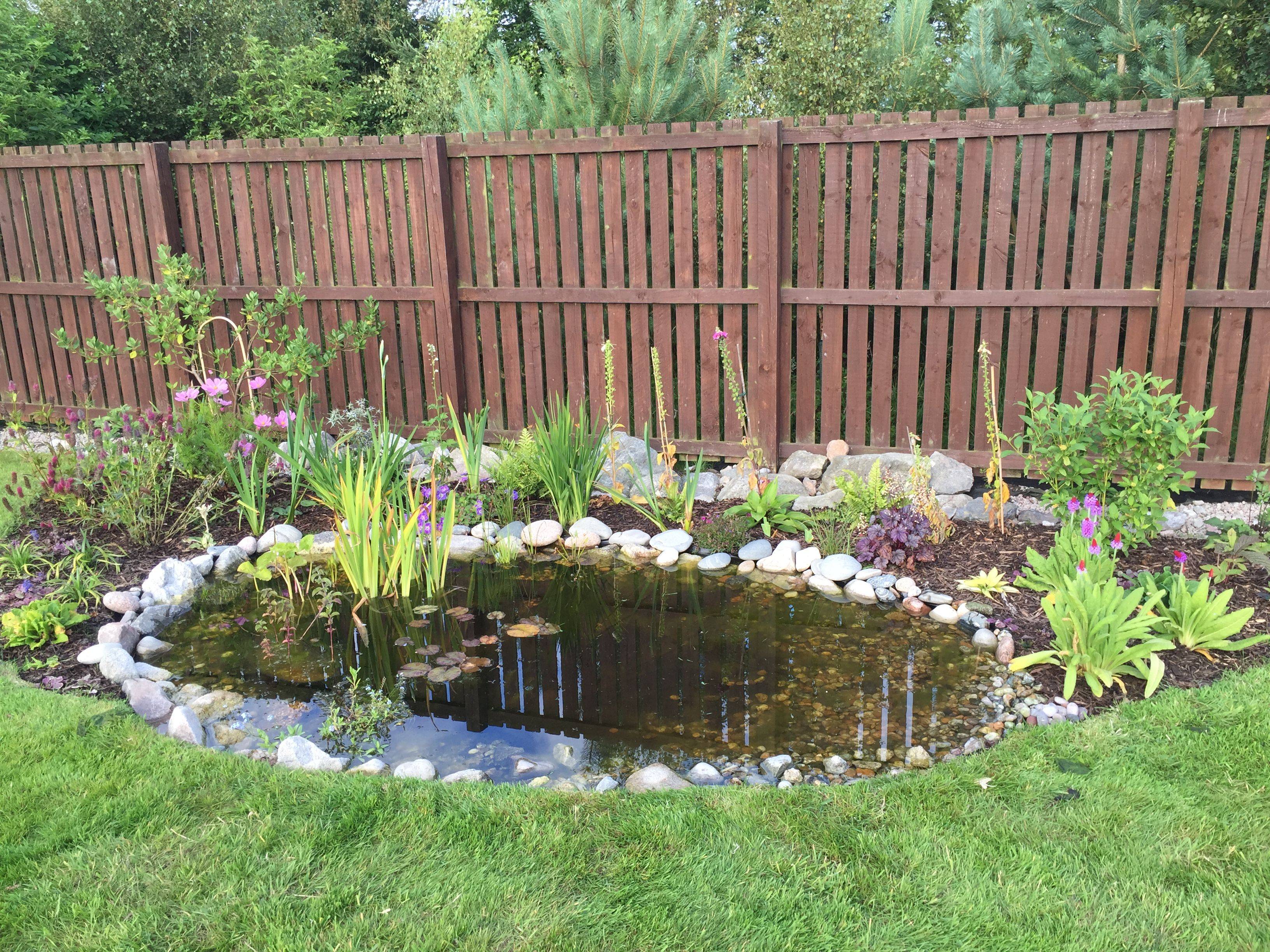 23 Small Garden Ponds Wildlife Ideas To Try This Year | SharonSable