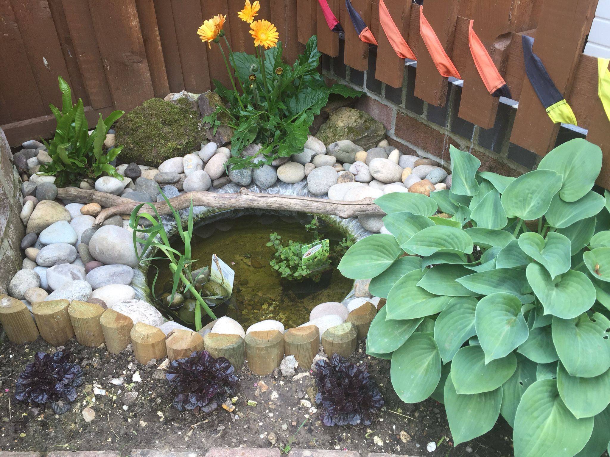 23 Small Garden Ponds Wildlife Ideas To Try This Year | SharonSable