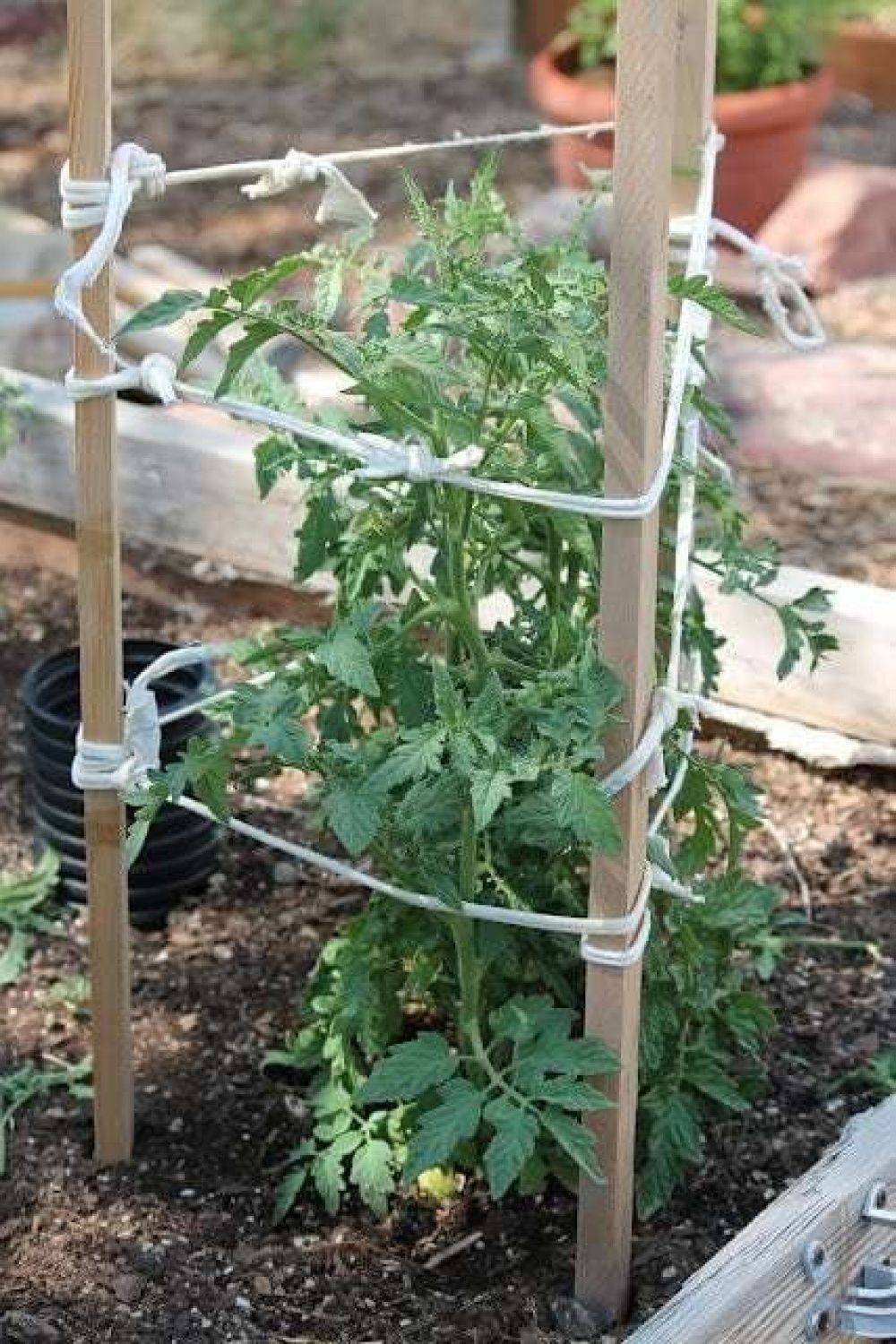 Great Diy Garden Plant Supports