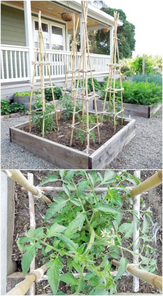 Great Diy Garden Plant Supports