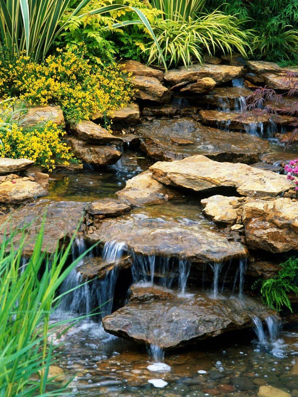 Simple Beautiful Small Pond And Water Garden