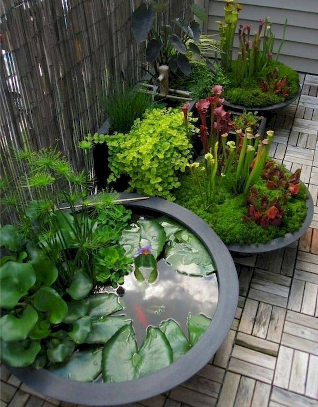 Water Garden Ideas Https