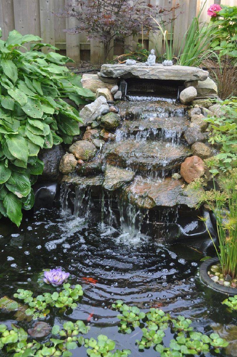 Water Feature Ideas