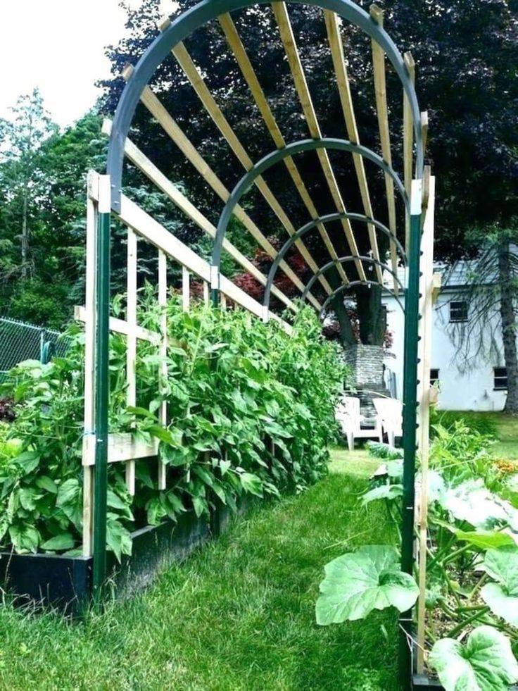 Easy Diy Garden Arch