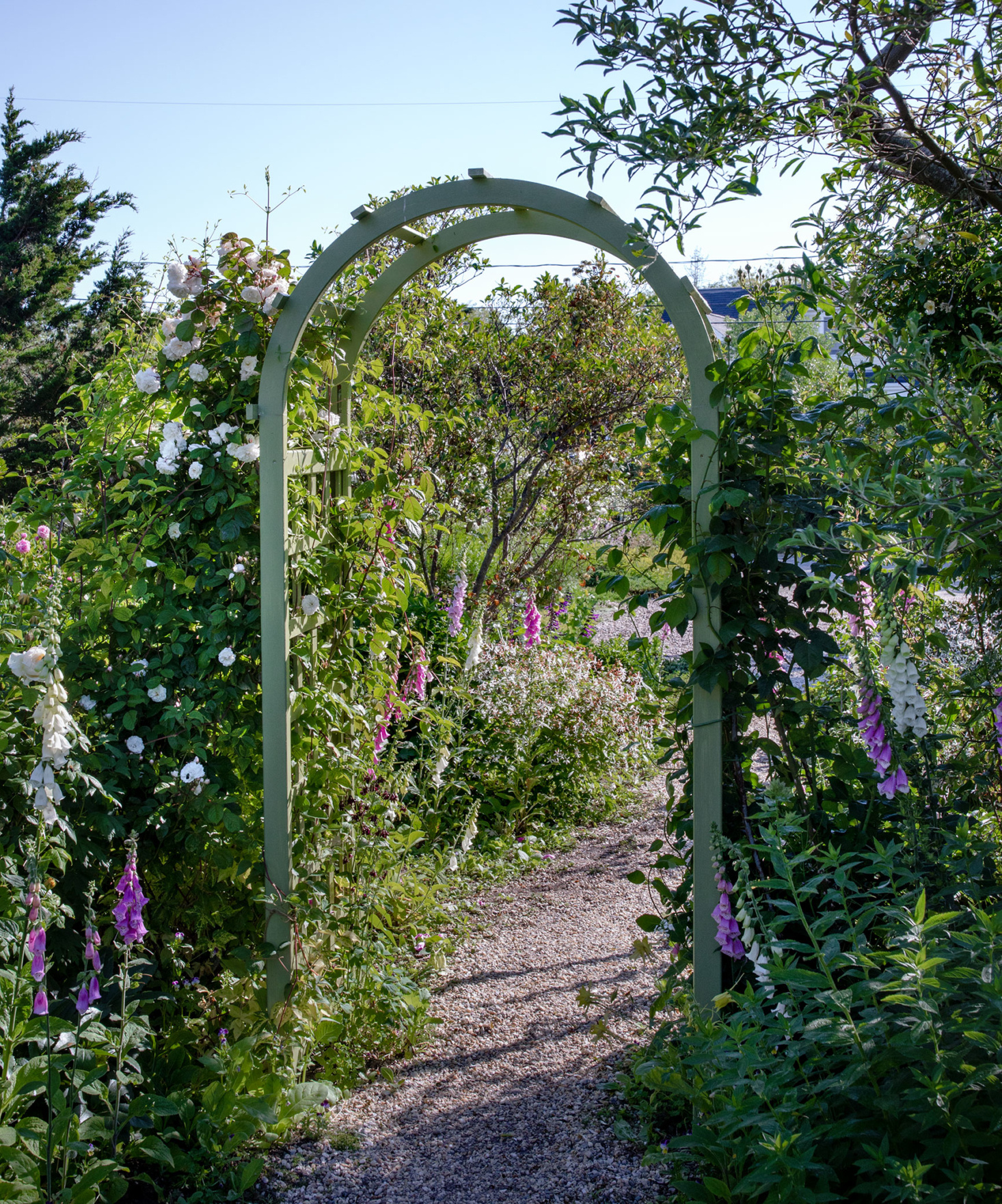 Standard Garden Arch Half Lattice Harrod Horticultural