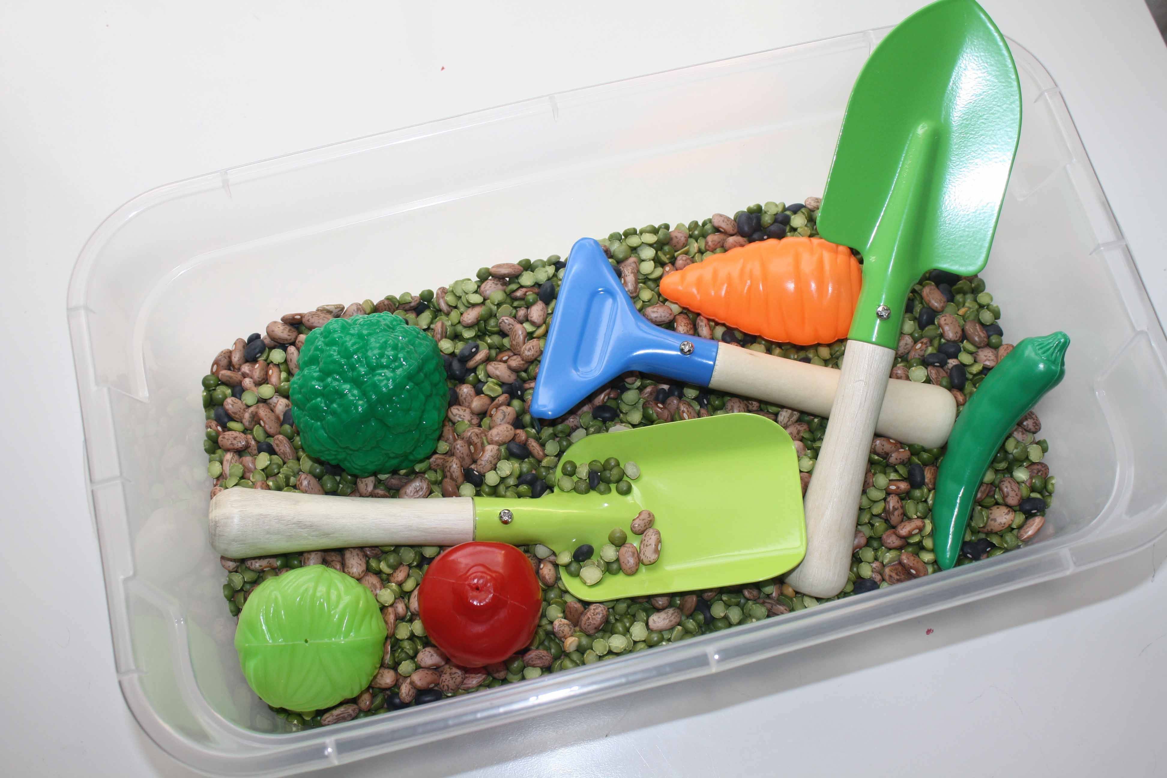 23 Garden Sensory Bin Ideas Worth A Look Sharonsable