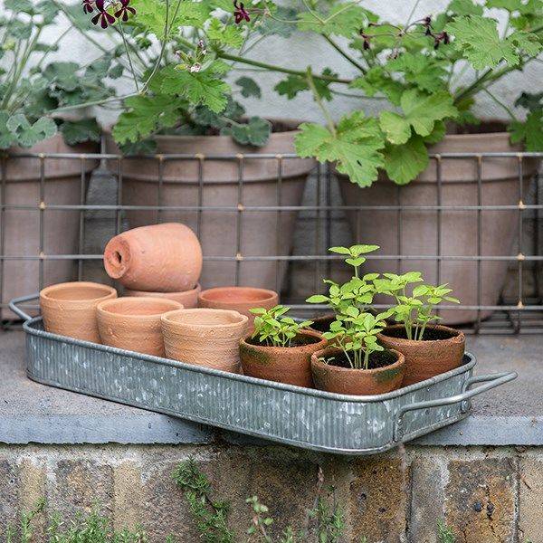 19 Waitrose Garden Ideas To Consider | SharonSable