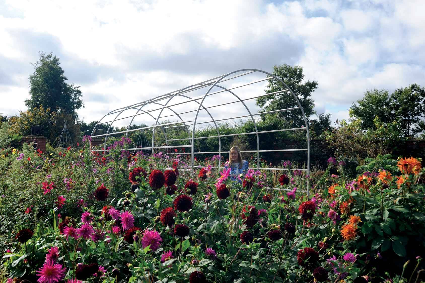 Roman Arch Garden Pergola Harrod Horticultural