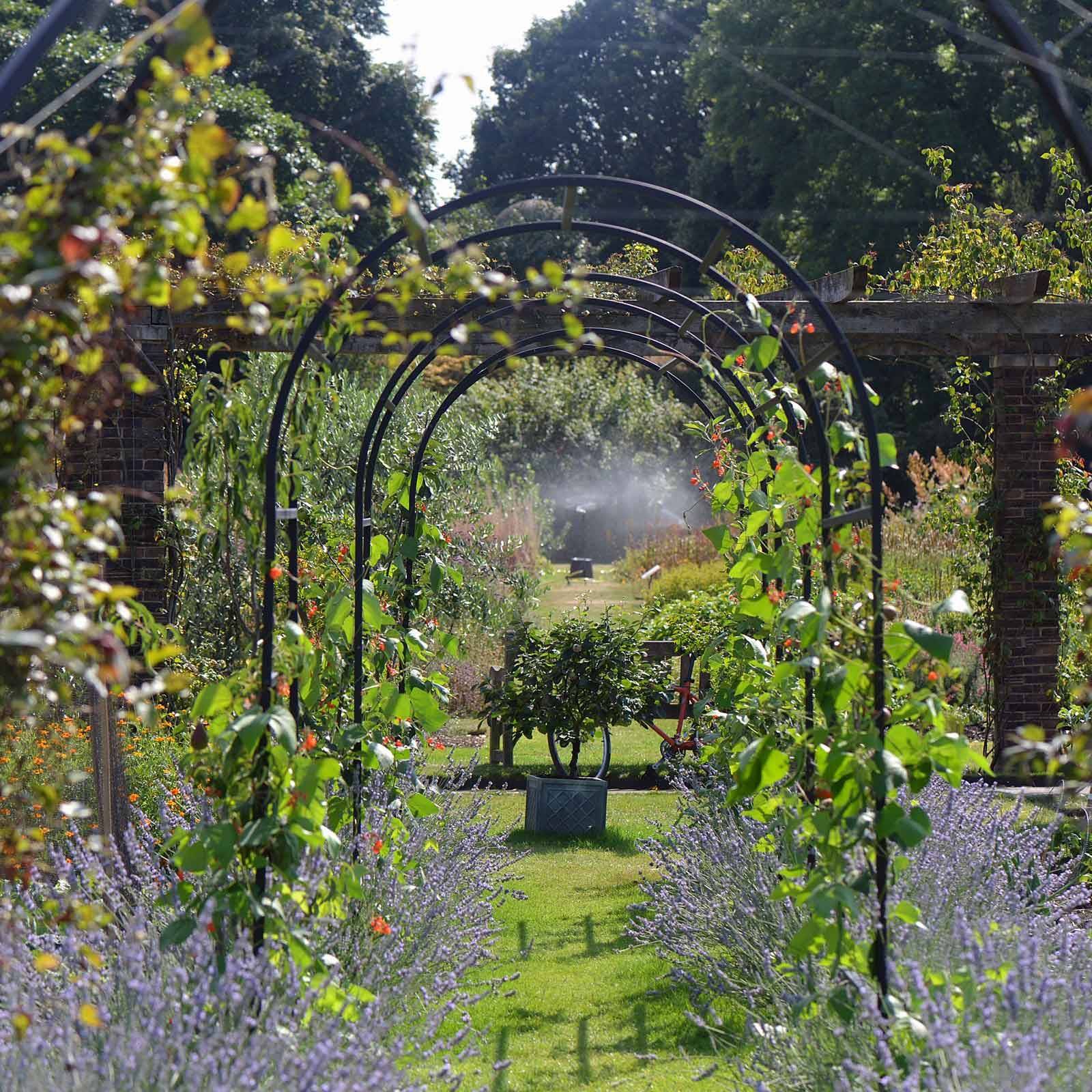 Roman Garden Arch Harrod Horticultural