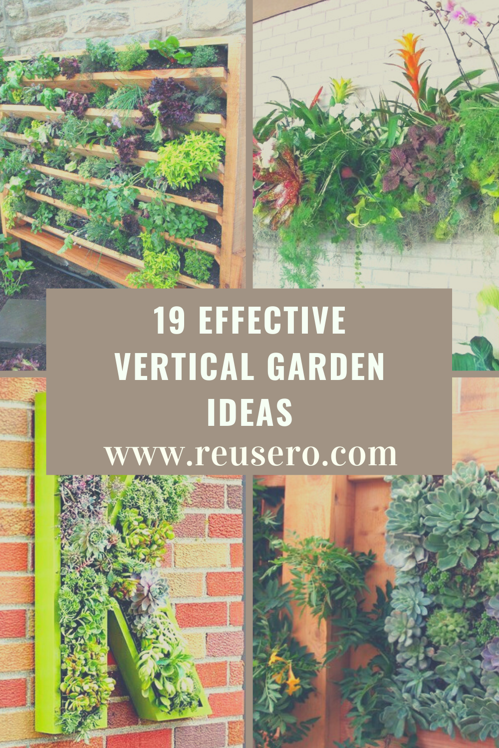 18 Vertical Garden Inspiration Ideas You Should Look | SharonSable