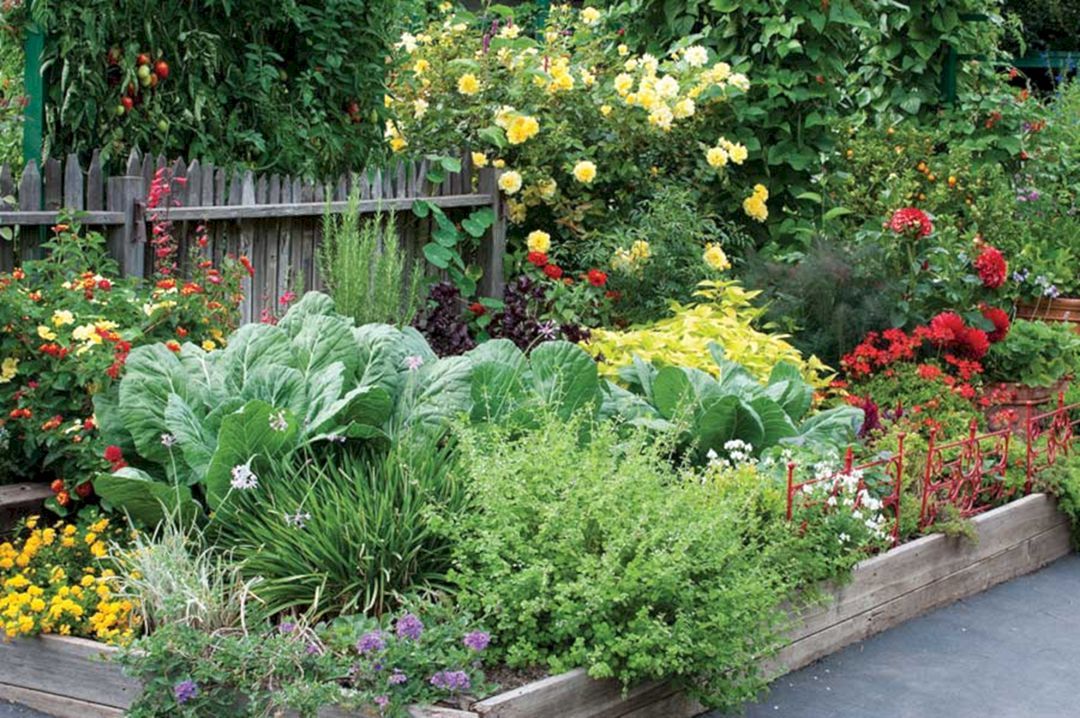 Edible Garden Ideas