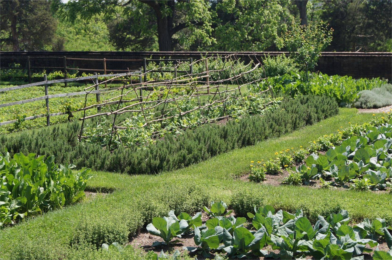 20 Spring Vegetable Garden Layout Ideas To Try This Year | SharonSable