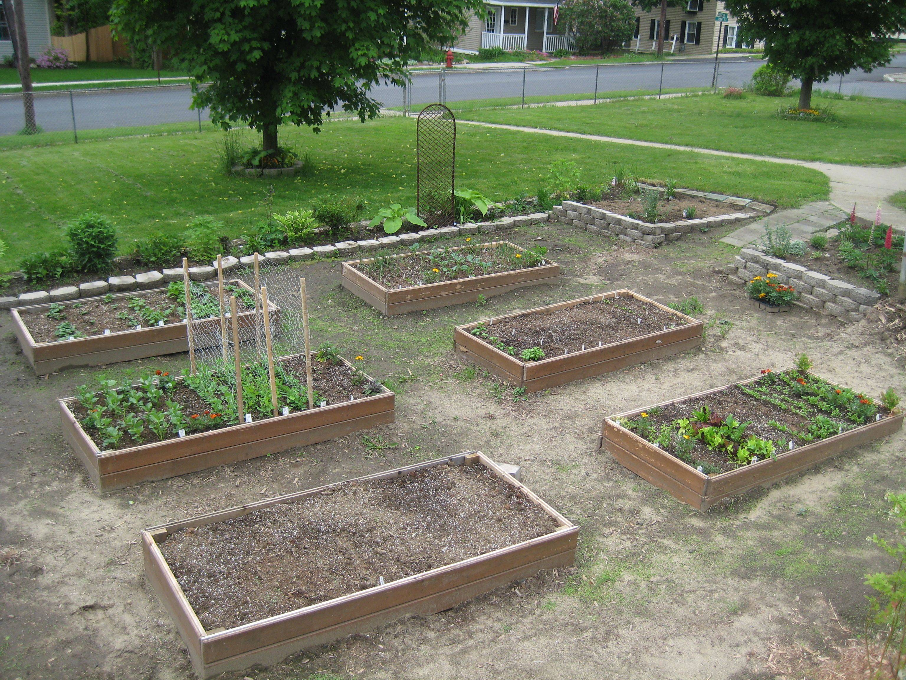 19 Horseshoe Raised Bed Garden Ideas You Should Check | SharonSable