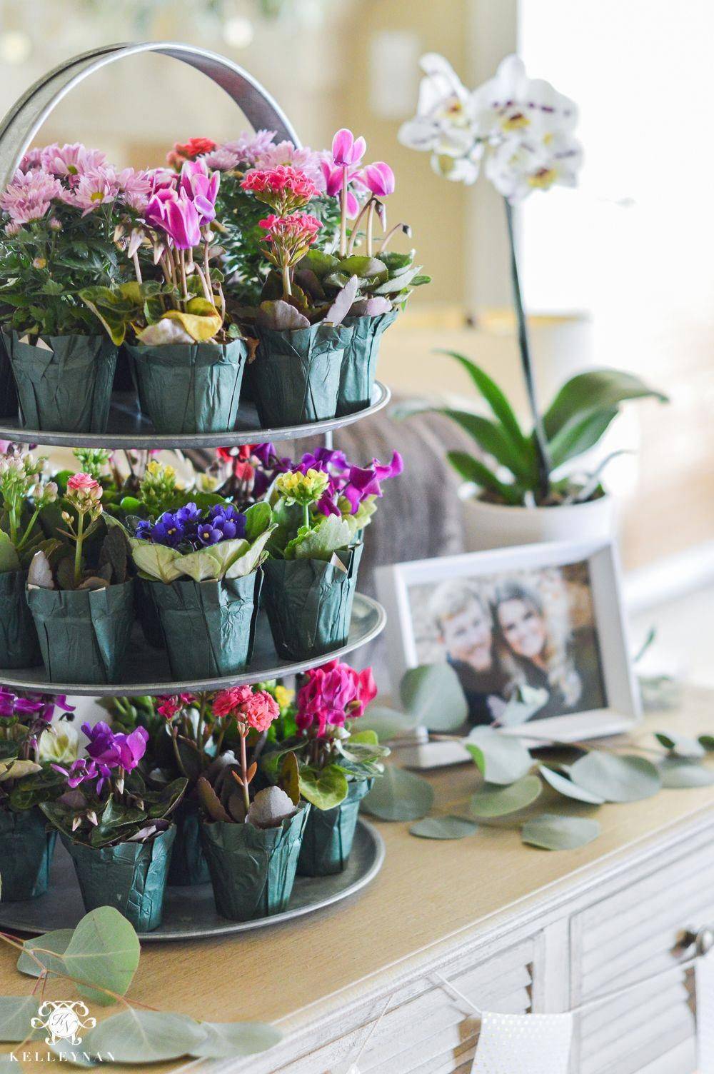 22 Garden Theme Bridal Shower Ideas To Consider Sharonsable