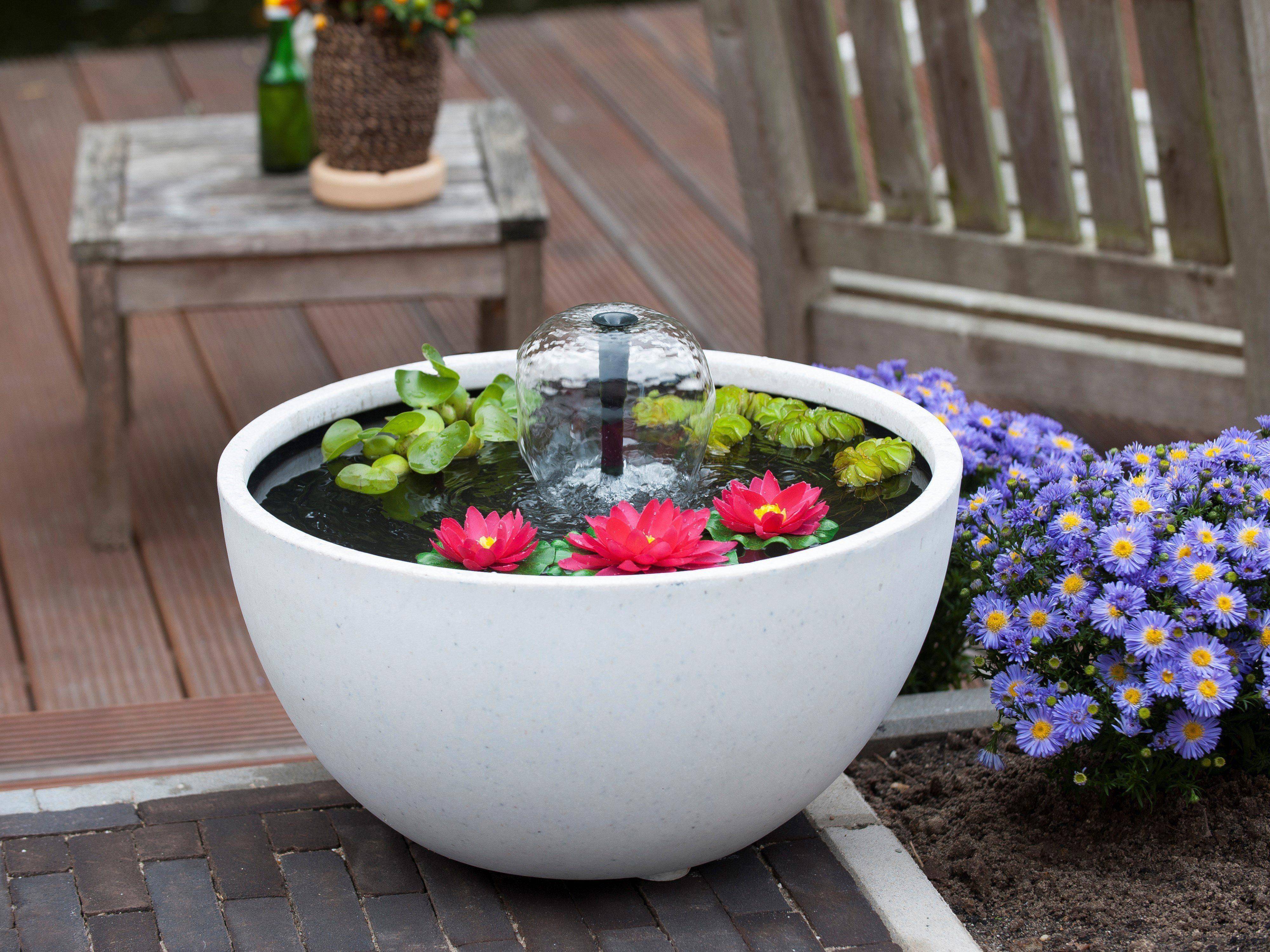 18 Water Garden Containers Large Ideas To Consider | SharonSable