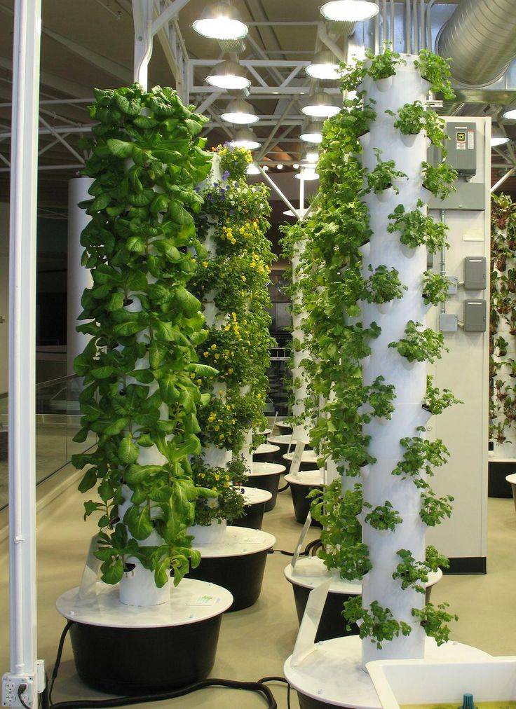 22 Aeroponic Vertical Garden Ideas For This Year | SharonSable