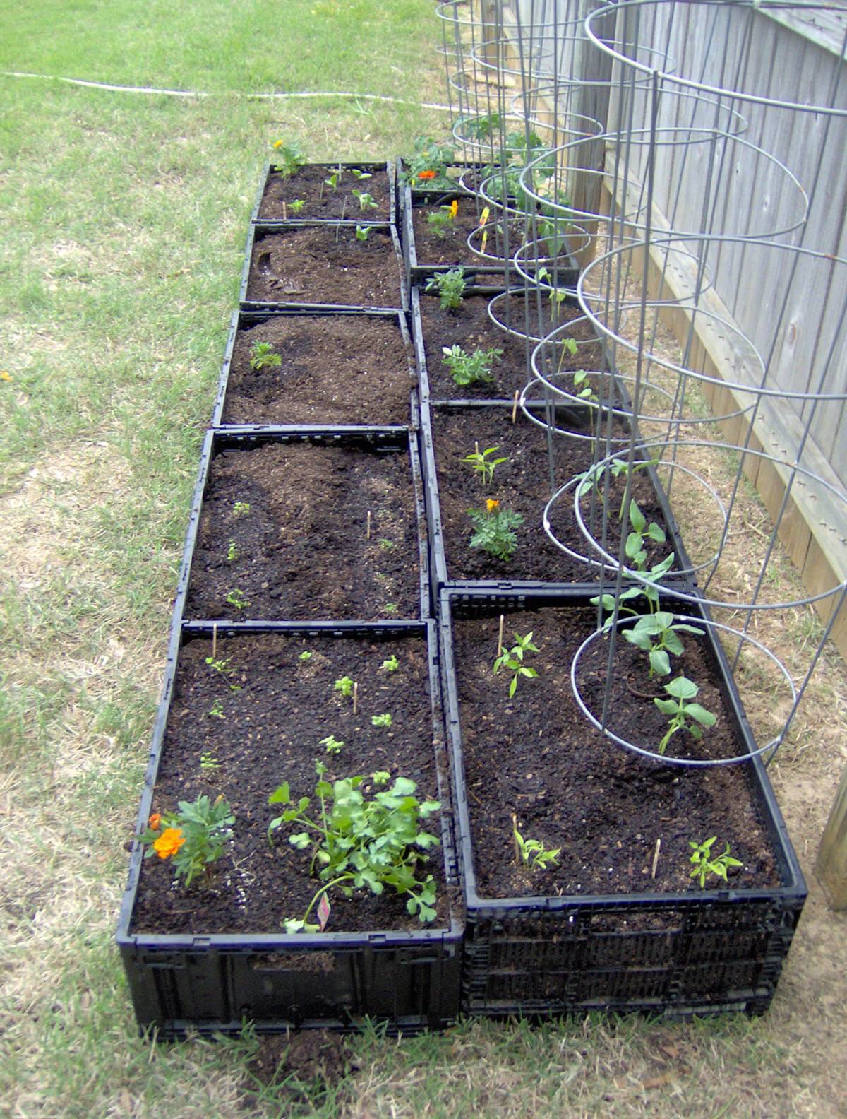 22 Square Foot Garden Boxes Ideas To Consider | SharonSable