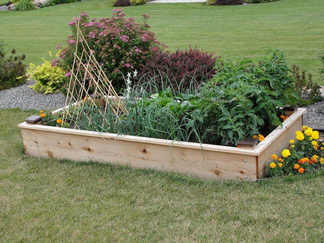 18 Raised Bed Lasagna Gardening Ideas To Consider | SharonSable