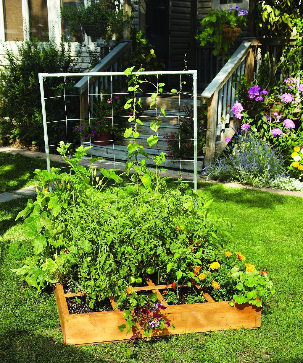 24 Square Foot Garden Planting Ideas You Cannot Miss | SharonSable