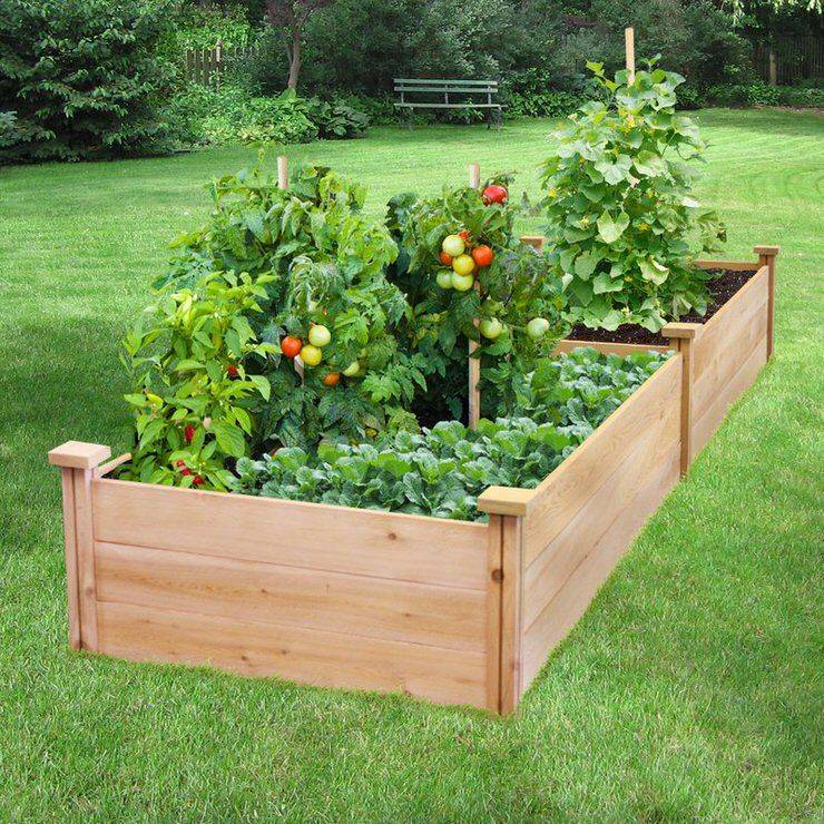 21 Square Foot Garden Bed Ideas For This Year | SharonSable