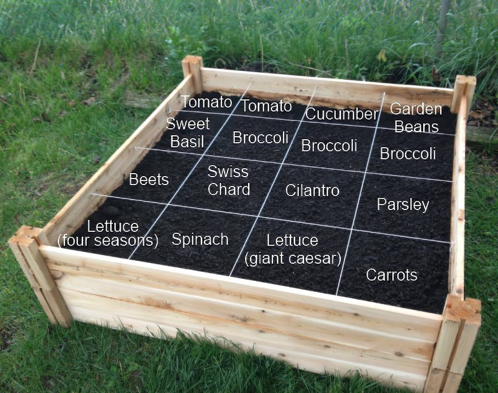 19 Square Foot Garden Planting Template Ideas You Cannot Miss SharonSable