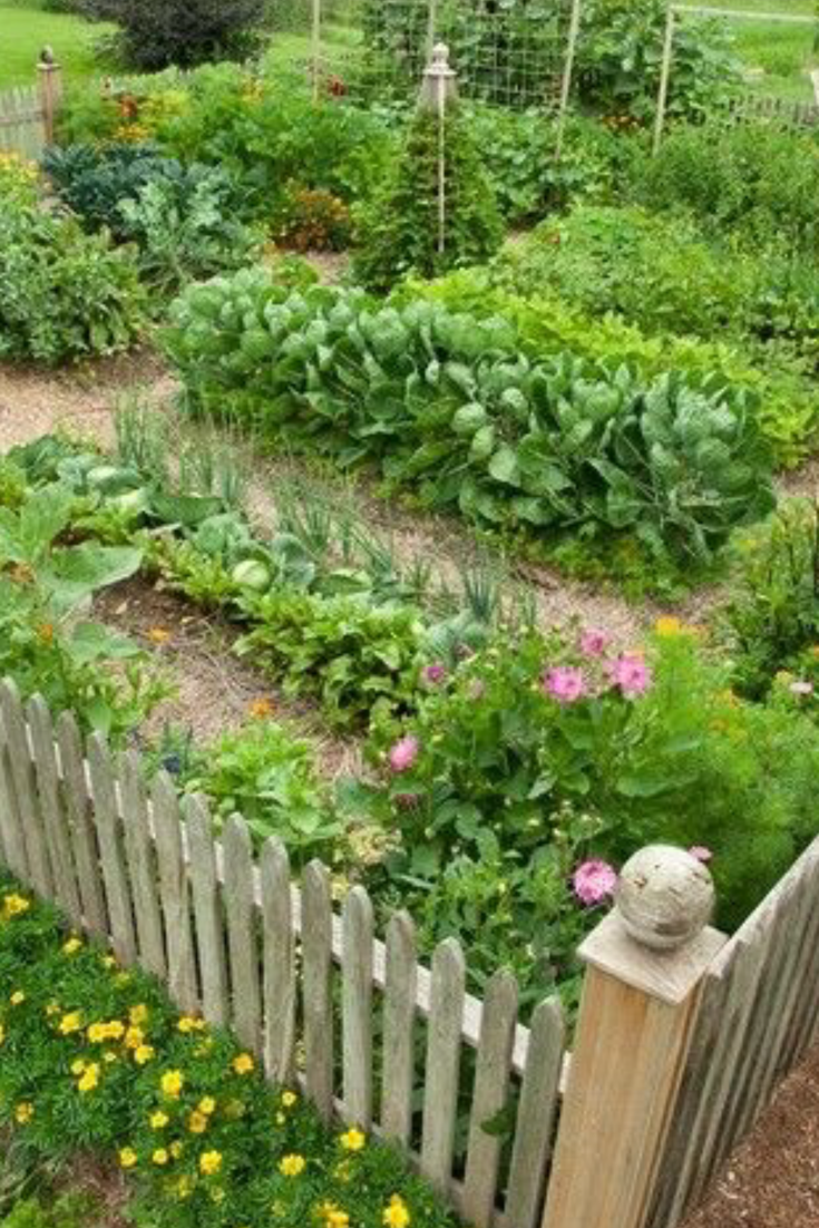 17 Planting Three Sisters Garden Ideas Worth to Check | SharonSable