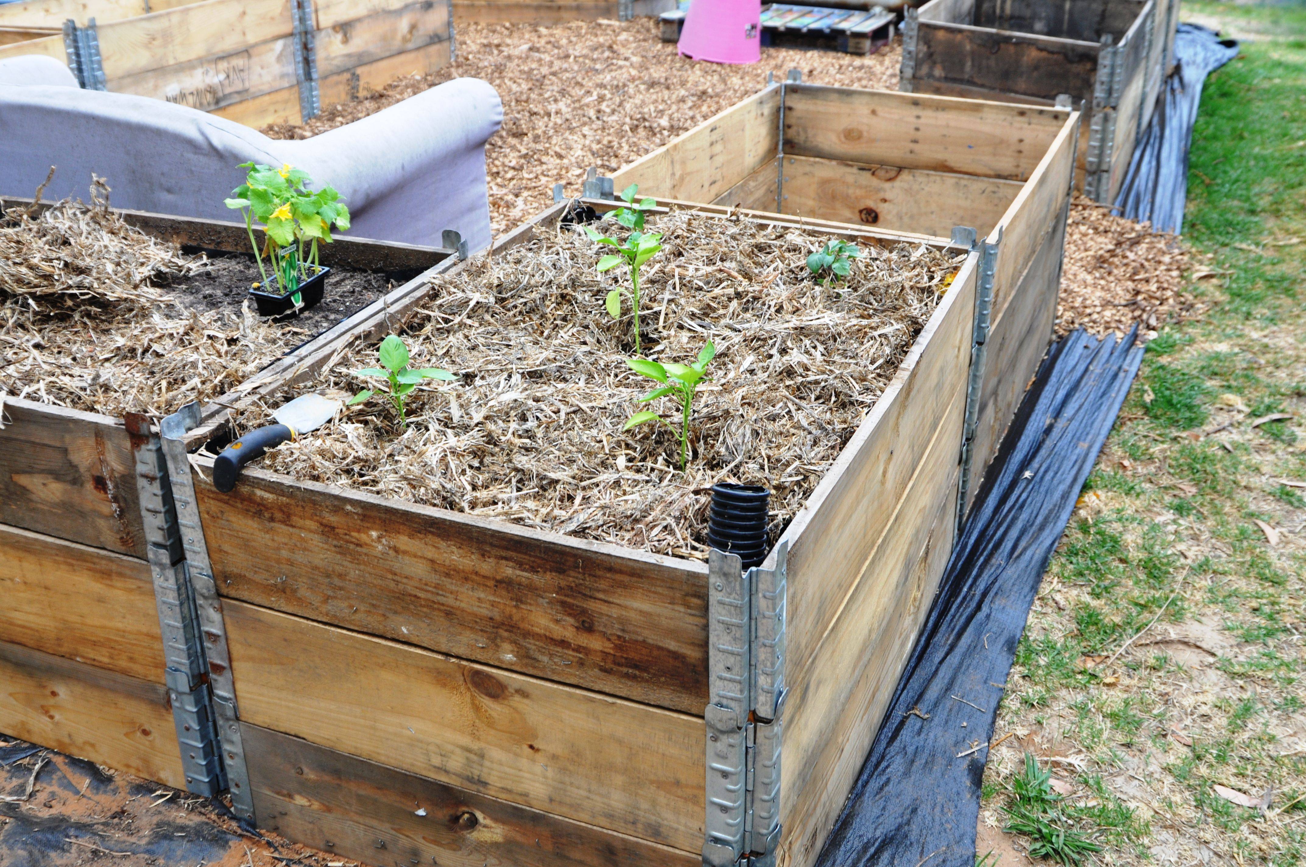 21 Self Wicking Raised Garden Beds Ideas Worth to Check | SharonSable