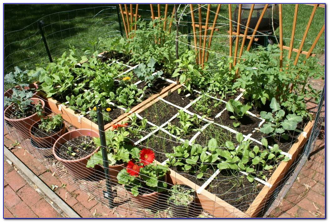 19 Square Foot Garden Spacing Guide Ideas You Cannot Miss | SharonSable